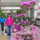 금남로 5가역 대합실 이미지