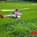 문막농협미곡종합처리장 이미지