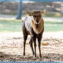 길종합동물병원 이미지