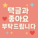 [공지] 야외 웨딩스냅 부케 컨셉바이 헤넴 옥수동 꽃집에서 단번에 해결