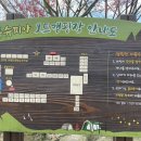 초록슈피아캠핑장 이미지