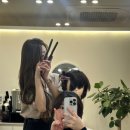브릳 네이버블로그