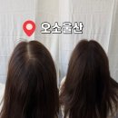 오소울산