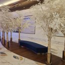 고래야 <미래도시> | 주말 영종도 나들이? 인스파이어 아레나 고래 쇼 놓치지 마세요 (주차/시간/포토존)