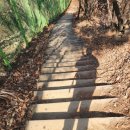 앵봉(좌) | 앵봉산(鶯峰山) “회룡고저형(回龍顧祖形)” 풍수답사