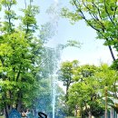 서시천자전거길2 이미지