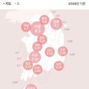 십리벚꽃길 | 2026 국내 벚꽃 명소: 경남 하동 십리벚꽃길 방문후기(개화시기, 주차 꿀팁, CCTV, 실전관람팁)
