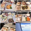 541 | 아시아나항공 OZ541편 기내식 후기 – 인천-프랑크푸르트 직항 기내식 솔직 리뷰!