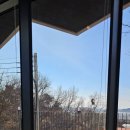 블랑드바비 이미지