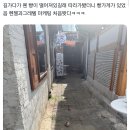 헨젤과 그레텔 Daum카페