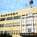 박씨청과