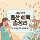 더 가인안마시술소 | 2026 출산 혜택 총정리｜첫만남이용권·출산축하금·기저귀바우처·산후도우미 &amp; 다자녀 혜택