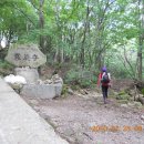 동산기사식당 이미지