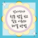 창문동물병원 이미지