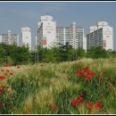 상동호수공원 이미지