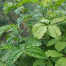 성희농장 이미지