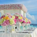 농협신니 이미지