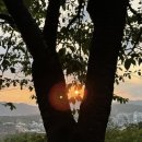 준오농장 이미지