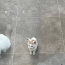 그루밍 라운지 이미지