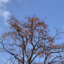 죽정습지 이미지