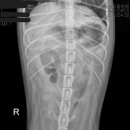 포레브동물의료센터 이미지