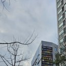 탐스메디 이미지