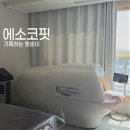 경기 시흥다이어트 신개념 다이어트 가격 후기 [ 에소코핏 ]