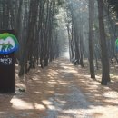 나들이어린이공원 이미지