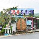 운주계곡 평상대여 물놀이 가성비 좋은 법용유원지
