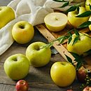 한우리영농조합법인 이미지