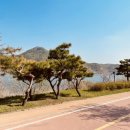 더드림농장 이미지