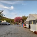 씨네마펜션 이미지