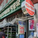 제일종묘사 이미지