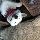 행복한 꿈을 꾸는 이미지