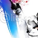 우성태권도 이미지