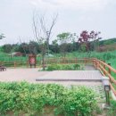 구리토평가족캠핑장 이미지