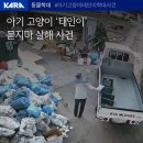 아기 고양이 "태인이" 묻지마 살해 사건-멀티탭으로 패서 죽임 (탄원서명 요청) 이미지