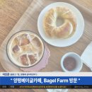 양평 베이글 카페 &#34;Bagel Farm(베이글팜)&#34; 방문 후기 (부제: 베이글팜에서 베이글 팜)