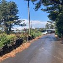 남원읍-25 이미지