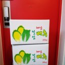 가애농장 | 해남 명품 절임배추 /봄날달콤작업실/수제청/부산수제먹거리/가애건강차