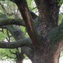 순천공업고등학교 이미지