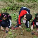 중산농원 이미지