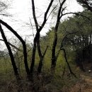 위례둘레길 이미지