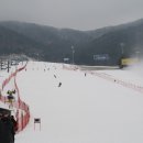 웰리힐리 스키장 이미지