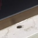 매밍 이미지