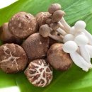 피티박스(PT BOX) 이미지