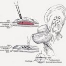 강앤정동물병원 이미지