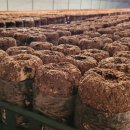 억만농장 이미지