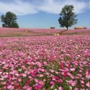 (주)안성목장 이미지