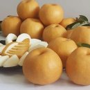 호준농장 이미지